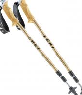 SHIVA AS - PAIR - BLACK/GOLD