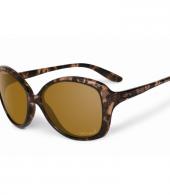 SWEETSPOT TORTOISE/BRZPOLARISD