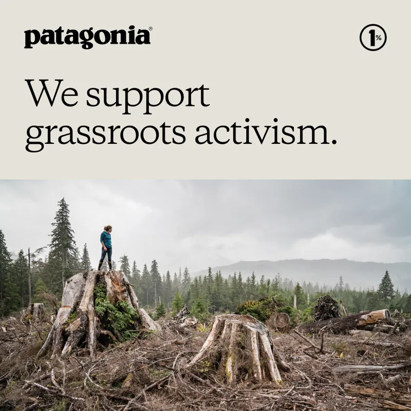 Patagonia: We support grassroots activism