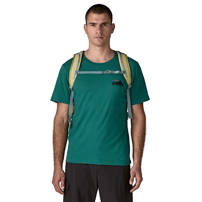 Patagonia Refugio Daypack 30L in Weathered Stone-6
