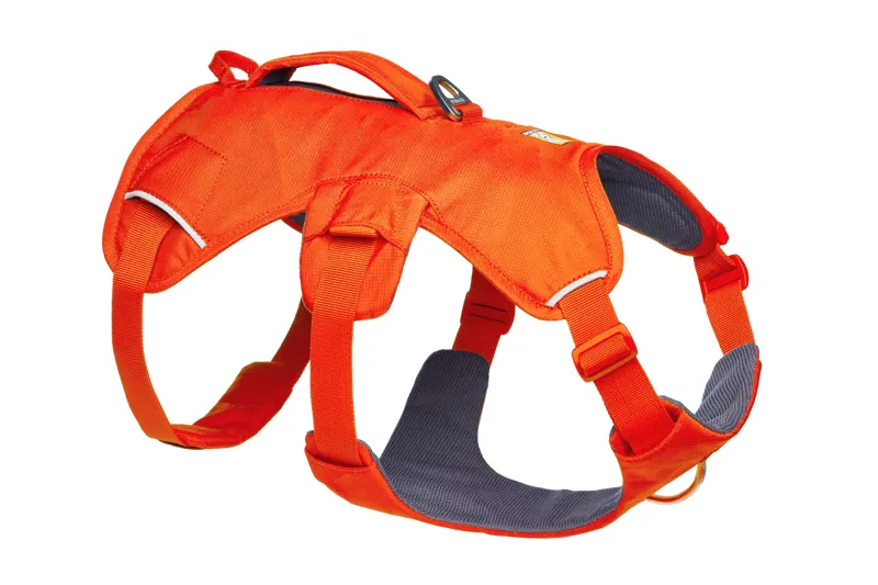 Ruffwear Web Master Dog Harness with Handle in Blaze Orange