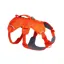 Ruffwear Web Master Dog Harness with Handle in Blaze Orange