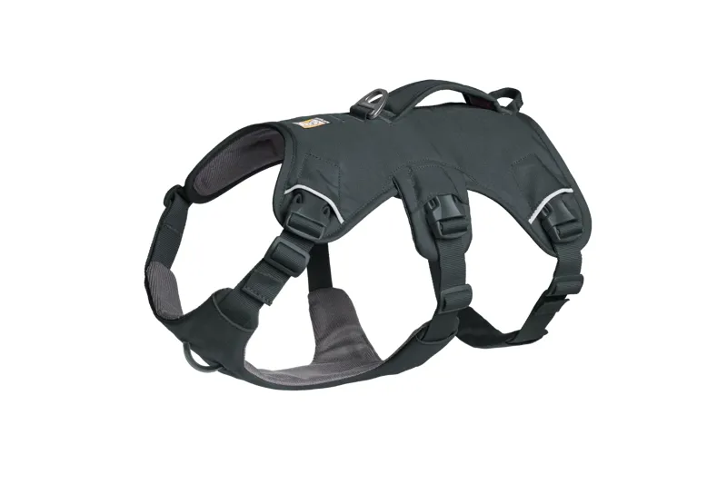 Ruffwear Web Master Dog Harness with Handle in Basalt Gray-2