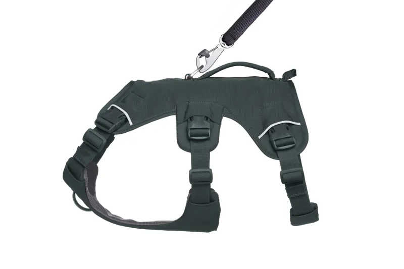 Ruffwear Web Master Dog Harness with Handle in Basalt Gray-4