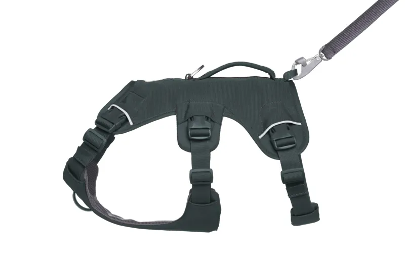 Ruffwear Web Master Dog Harness with Handle in Basalt Gray-5