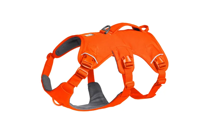 Ruffwear Web Master Dog Harness with Handle in Blaze Orange-2