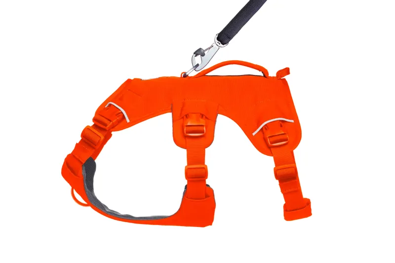 Ruffwear Web Master Dog Harness with Handle in Blaze Orange-4