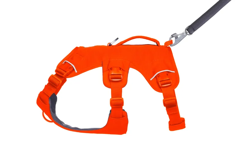 Ruffwear Web Master Dog Harness with Handle in Blaze Orange-5