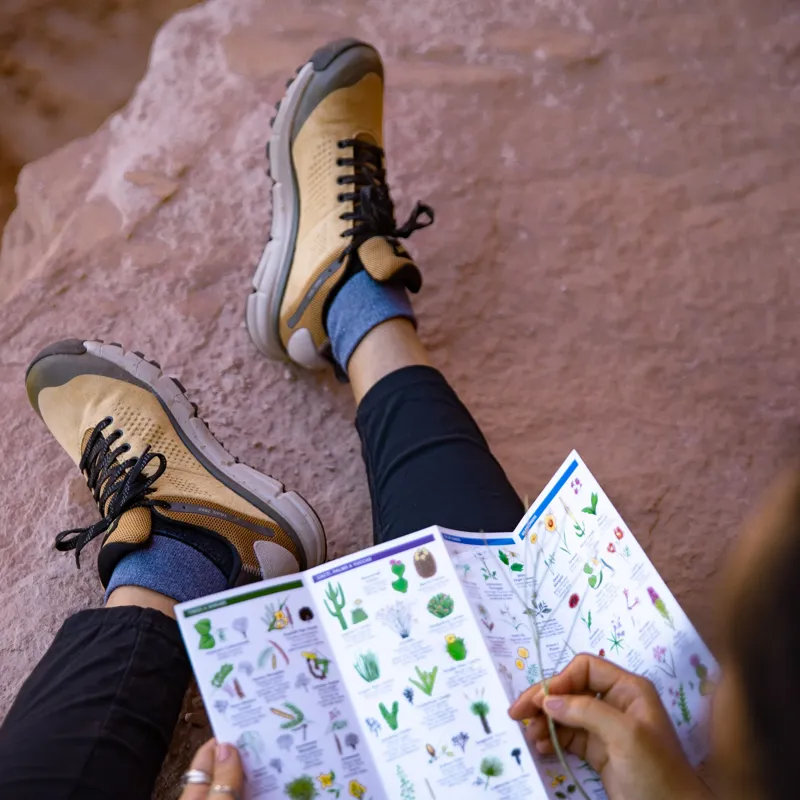 Danner Trail 2650 GTX Women's in Prairie Sand/Gray-8