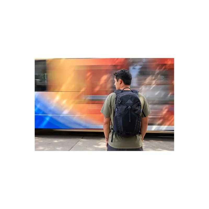 Gregory Nano 20 Backpack in Optic Black-8