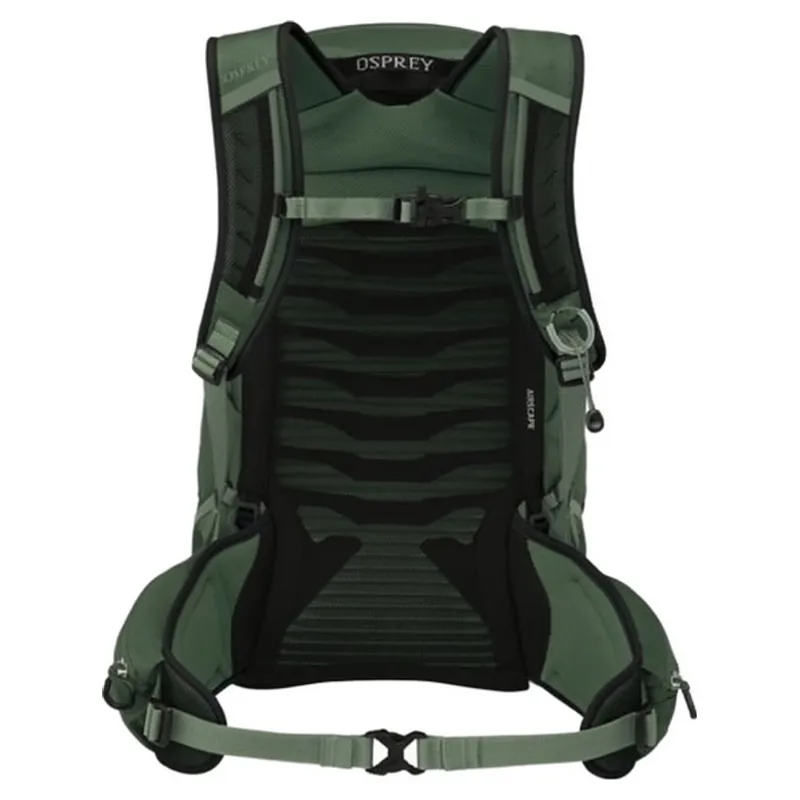 Osprey Talon 22 in Green Canopy/Pine Leaf-3