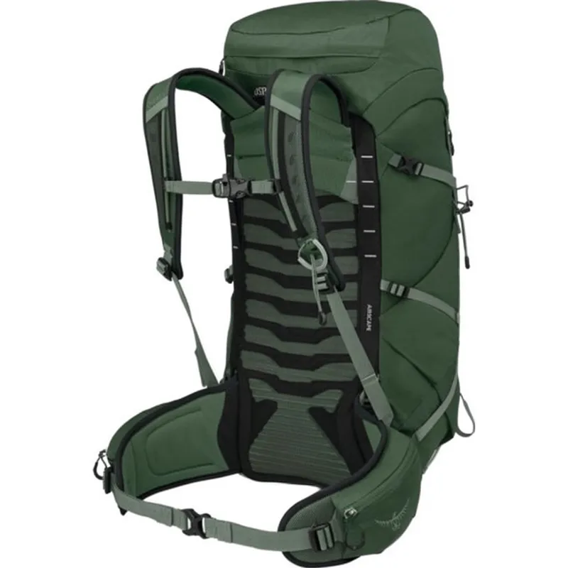 Osprey Talon 33 Backpack in Green Canopy/Pine Leaf-1