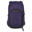 Osprey Women's Tempest 22 in Deep Fig/Hotspot Pink