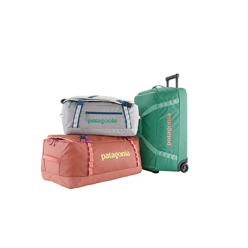 Patagonia Black Hole Duffel 40L in Birch White-4