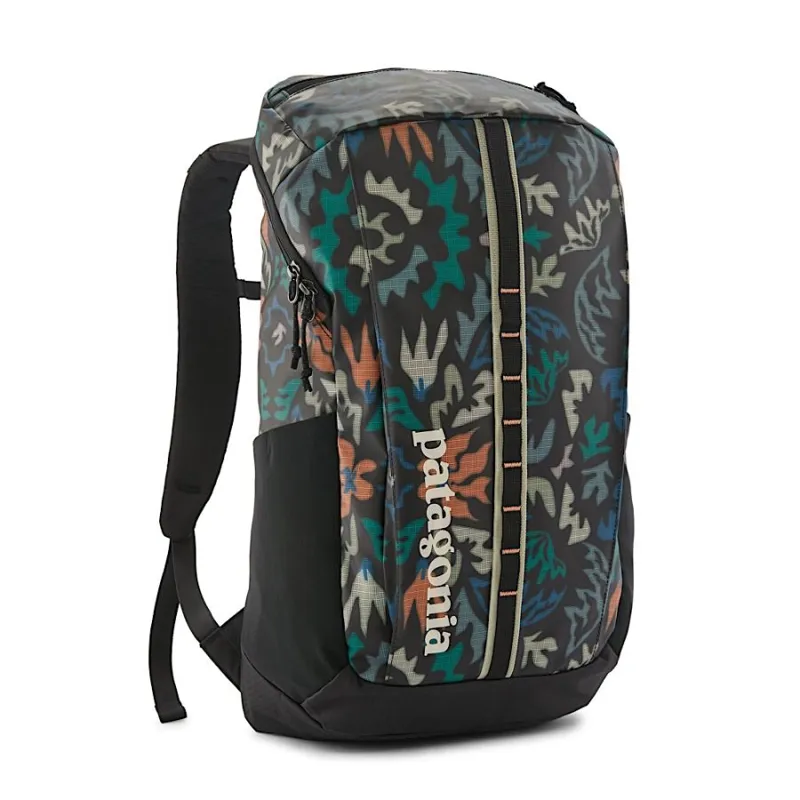 Patagonia Black Hole Pack 25L in Kaleido: Black