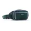 Patagonia Fieldsmith Hip Pack 5L in Cascade Green
