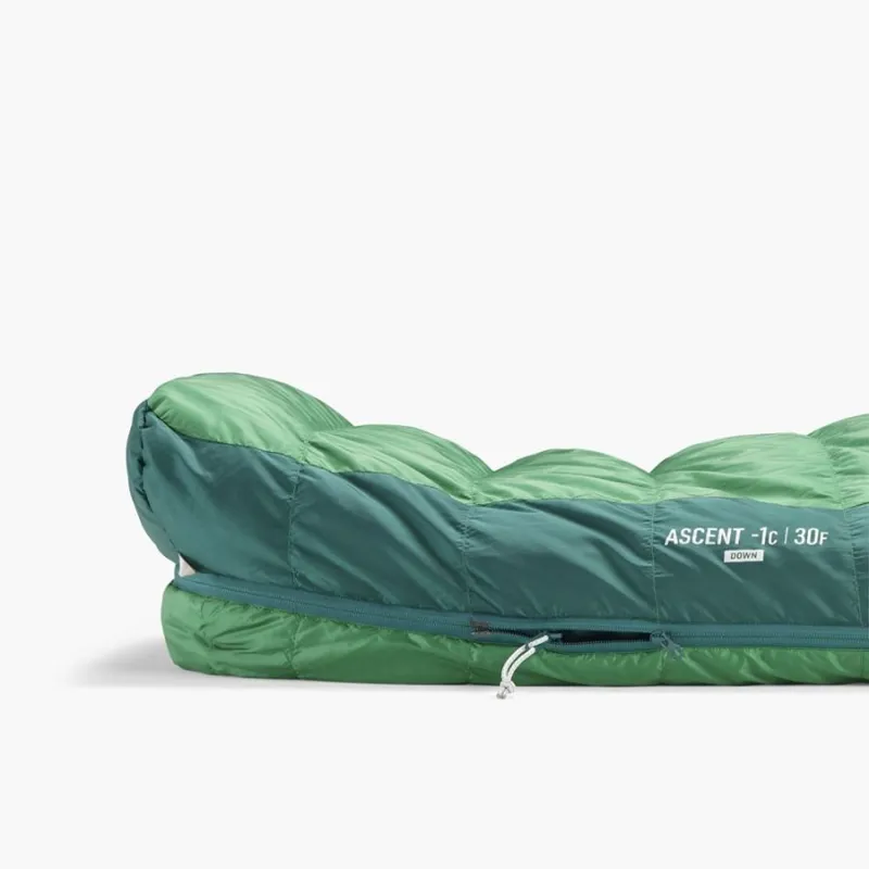 Sea To Summit Ascent Down Sleeping Bag -1C Regular-5