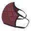 Sea To Summit Barrier Face Mask in Rhubarb Red