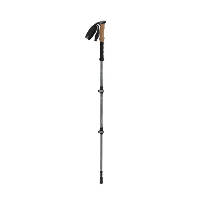 Silverpoint Piers Gill Walking Poles Pair-3