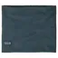 Patagonia Micro D Fleece Neck Gaiter in Summit Blue