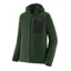 Patagonia R1 Air Men's Full-Zip Fleece Hoody in Treeline Green