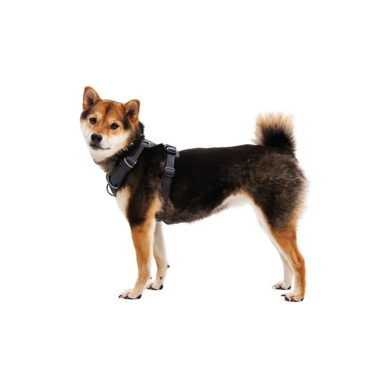 Ruffwear Front Range Dog Harness in Basalt Gray-8