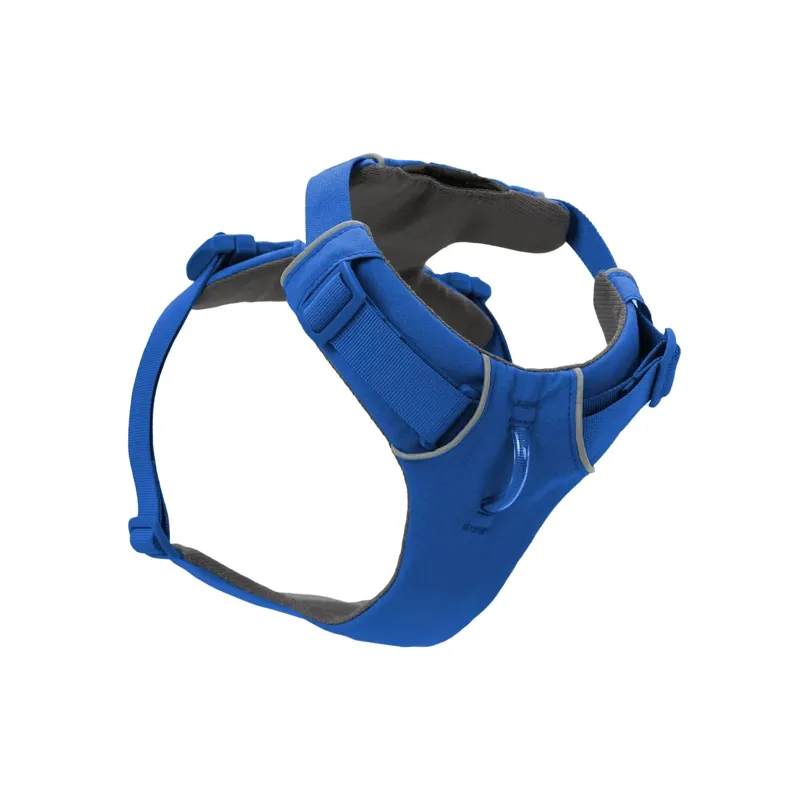 Ruffwear Front Range Dog Harness in Blue Pool-3