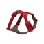 Ruffwear Front Range Dog Harness in Red Canyon
