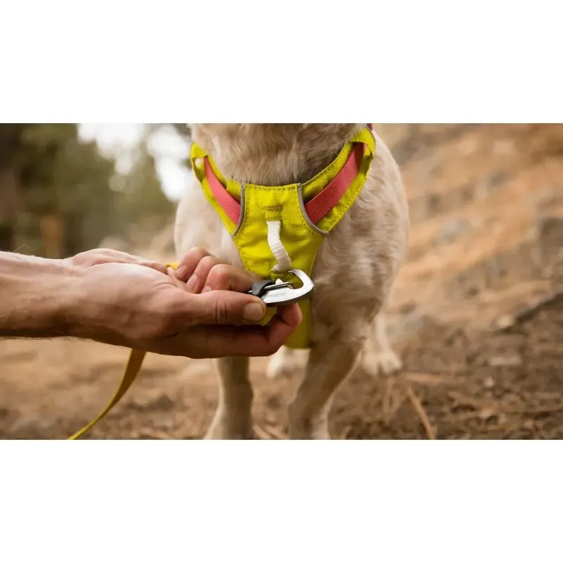 Ruffwear Hi and Light Lightweight Dog Harness in Alpenglow Pink-11
