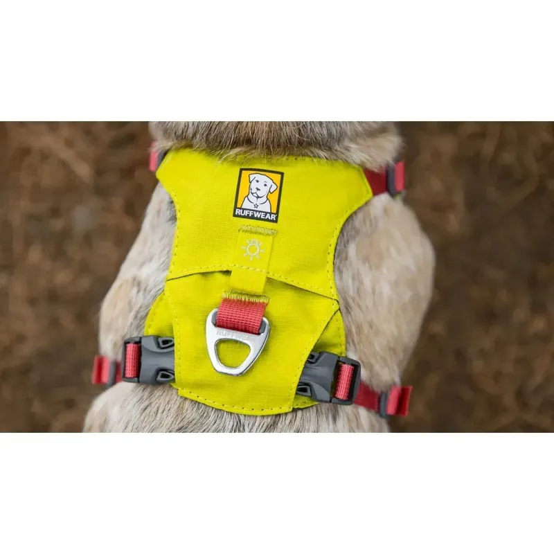 Ruffwear Hi and Light Lightweight Dog Harness in Alpenglow Pink-12
