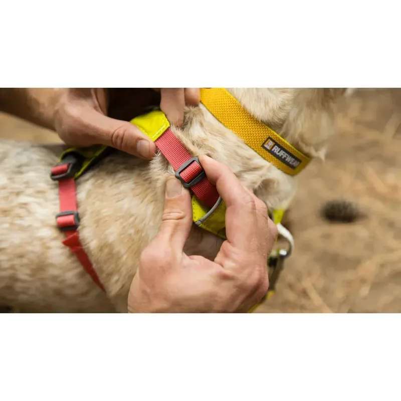 Ruffwear Hi and Light Lightweight Dog Harness in Basalt Gray-10