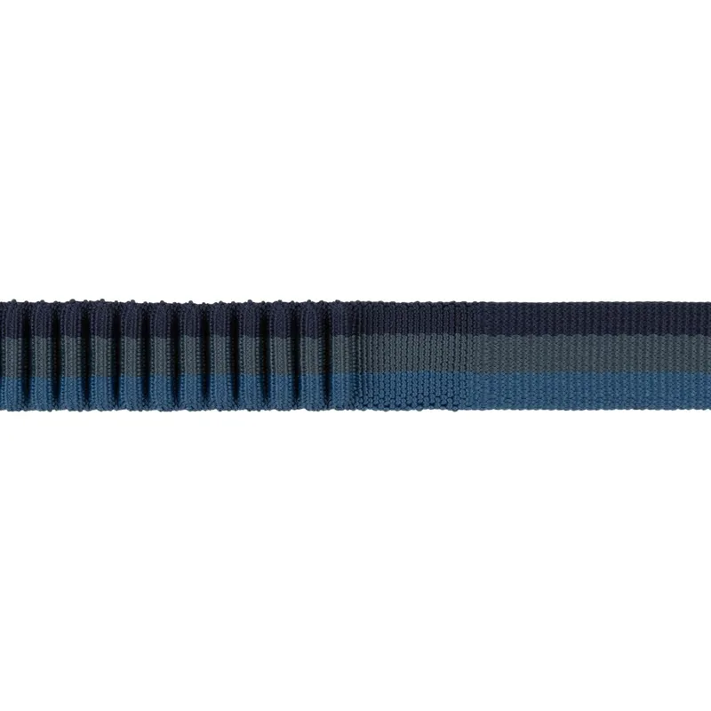 Ruffwear Roamer Bungee Dog Lead 222cm-335cm in Orion Blue-5
