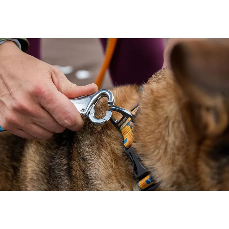 Ruffwear Roamer Bungee Dog Lead 222cm-335cm in Orion Blue-11