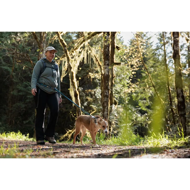 Ruffwear Roamer Bungee Dog Lead 222cm-335cm in Orion Blue-6