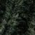 662 - Deep Forest