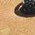 Prairie Sand-Gray