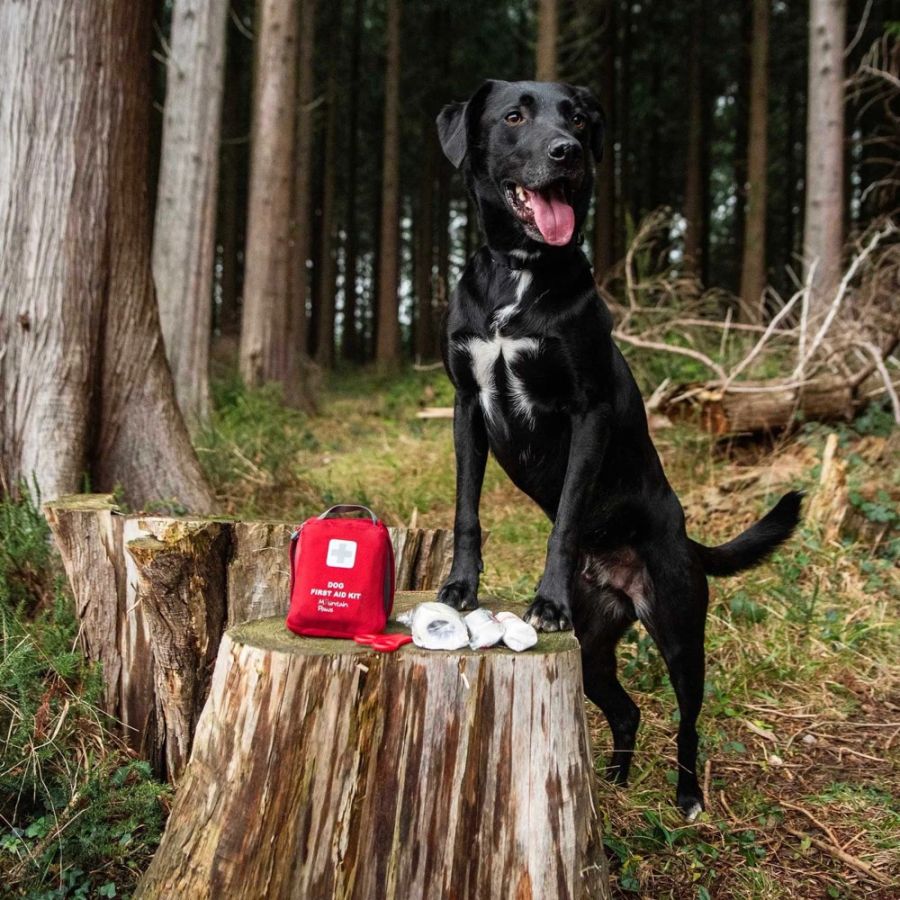 MOUNTAIN PAWS DOGGY FIRST AID ANY c