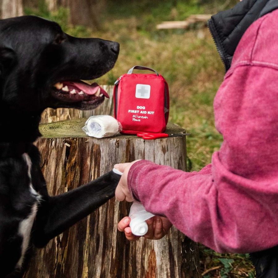 MOUNTAIN PAWS DOGGY FIRST AID ANY h
