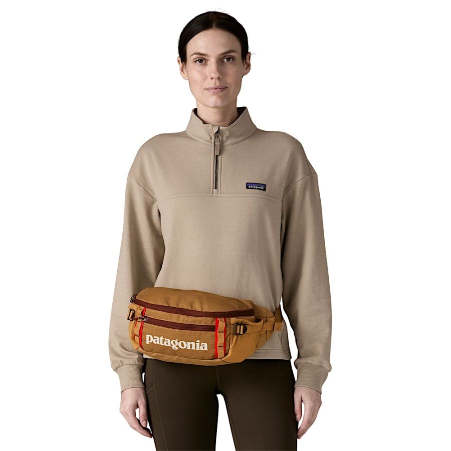 BLACK HOLE WAIST PACK 5L GLD 03