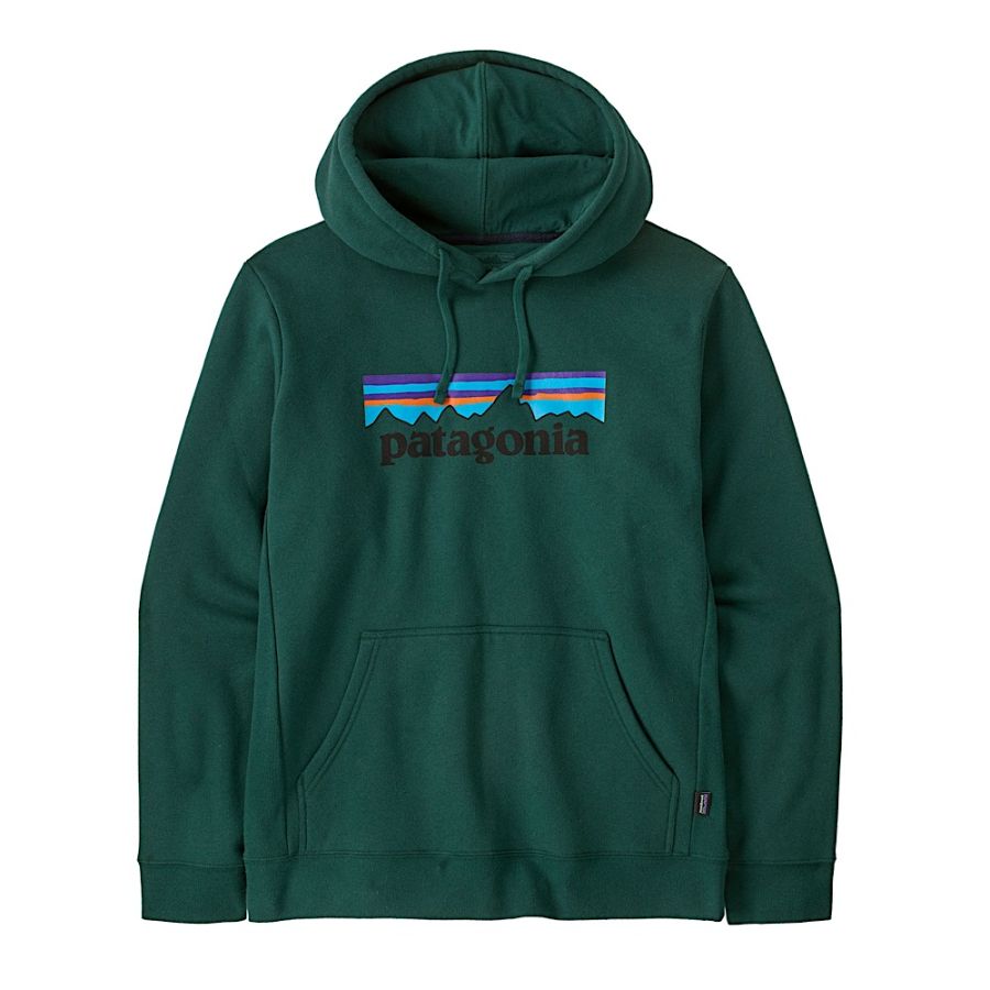 P6 LOGO UPRISAL HOODY DGN