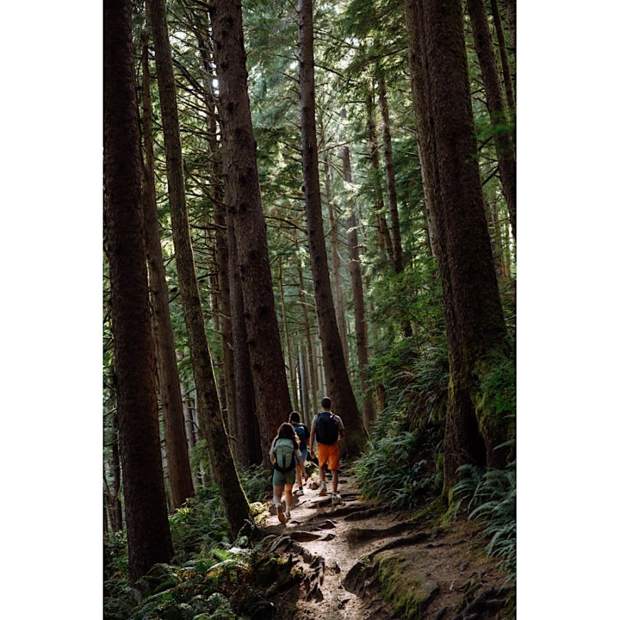 RAB AIROX 24 DEFAULT 37