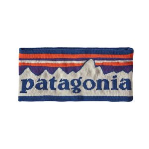 POWDER TOWN HEADBAND BIR