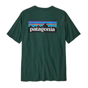 P6 LOGO RESPONSIBILI-TEE DGN