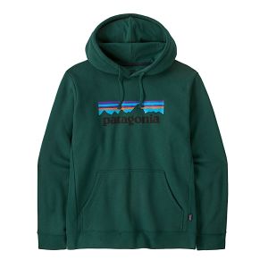 P6 LOGO UPRISAL HOODY DGN