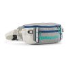 BLACK HOLE WAIST PACK 5L BIR