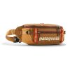 BLACK HOLE WAIST PACK 5L GLD