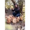 SHERPA BHUTLA CREW WOMENS BLK d